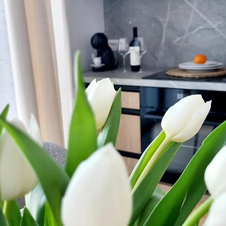 Ostoja Orli Dziob D7 * Kal