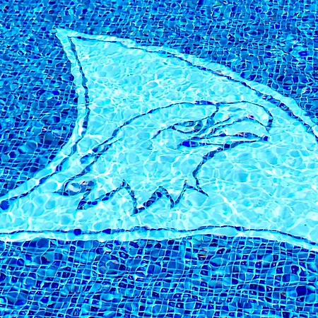 Ostoja Orli Dziob D7 Apartment Kal